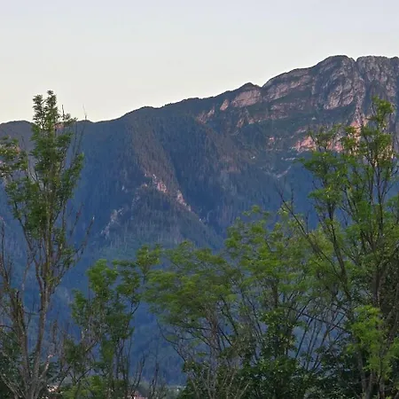 Chalet Szalas Aleksandrzak