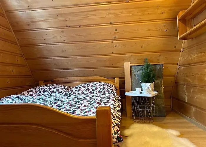 Szalas Aleksandrzak * Zakopane