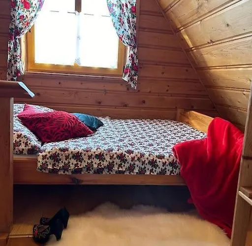 Szalas Aleksandrzak * 扎科帕内