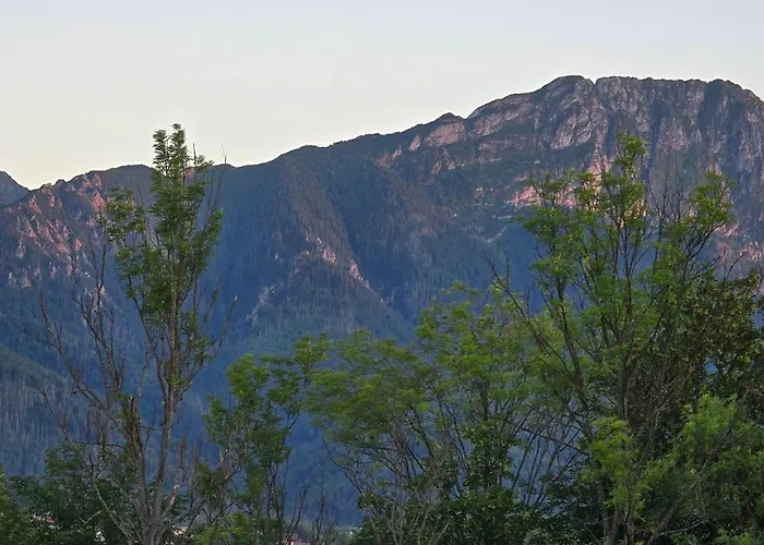 Alpehytte Szalas Aleksandrzak